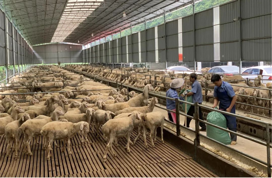 YpPO_1679360361544064355.jpg 2.jpg